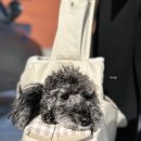 모드니세탁 이미지