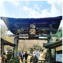 지리산풀빌라펜션 이미지