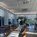 장자1길 | 군산 선유도 카페 추천 l 장자바다뷰를 한눈에! 장자바다정원카페