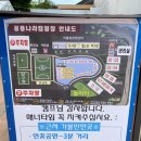 상리면어울림문화센터야영장 | (고성) 고성 공룡나라 캠핑장 - 상리면 어울림문화센터, 연꽃피는 작은도서관, 놀이터 있는 캠핑장, 2박3일