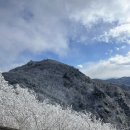 무주읍143 이미지