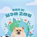 하울팟 위례점 이미지