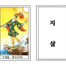 명리학과 타로의 만남 이미지