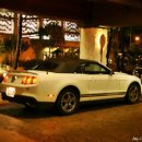 온더비치(on the beach) 이미지