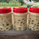 쌍둥이 농원 이미지