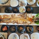어박사회센터