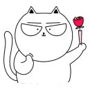 브로우돌 이미지