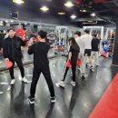 탑비트복싱클럽 이미지