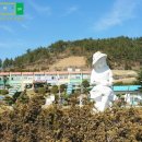 소라초등학교신흥분교 | 소라초등학교 신흥분교에서...