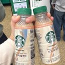 보헤미안별 | 2025 세종 보헤미안 뮤직 페스티벌 후기