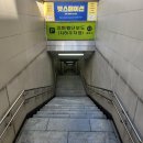 숲 동물병원 펫스테이션점 | 가득한 부산 수영구 &#34;애견카페 피피피 펫스테이션점&#34; 내돈내산 후기 리뷰 주차 심장주의 스압주의