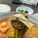 돋울터 | 대전 봉명동 점심 맛집 이관복명장냉면 혼밥 메뉴 주차 내돈내산 웨이팅