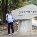 혜주네 이미지
