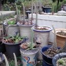 아담농장 이미지