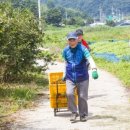 장성농장 이미지