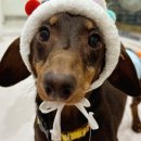 아이조아 요양보호소 서울점 이미지