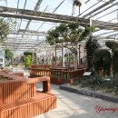 안산식물원 이미지