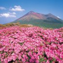 기리시마 스포츠동아