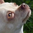 공감＋동물의료센터 이미지