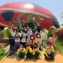 점곡초등학교 이미지