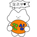 네일코코니 이미지