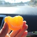 산남농장 이미지