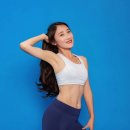 보람핏