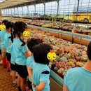 태봉초병설유치원 이미지