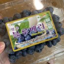 국산 생블루베리 1kg 구입 및 보관 후기 (화성영농조합법인)