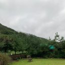 산내원림 | 경주 산내 감성 숙소 풀빌라 독채 산내원림 안채 솔직후기