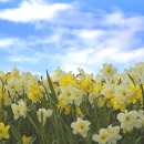 원주중앙요양원 이미지