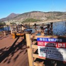 지도 왕벚나무길 이미지