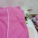 복돌이애견 이미지