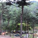 리버힐즈 캠핑장(푸른농원) | 리버힐즈 캠핑장