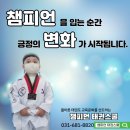 안중태권도장 네이버블로그