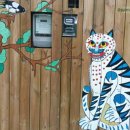 두꺼비집 이미지