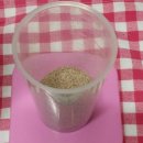 로얄다방 이미지