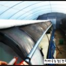 가온목장 이미지