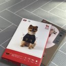 비BYC 이미지