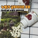 프로개발 | [제품 리뷰] 뉴벨라 글루타치온 프로 | 현직 의사 약사가 개발한 흡수율 높은 글루타치온 솔직후기
