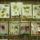 마키루키꿈샘유치원 이미지