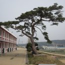 서일고등학교 이미지