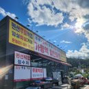 버즈랩 | 가평의 글램핑 성지ㅣ버즈글램핑 내돈내산 후기!