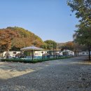 풀카쎈타 네이버블로그