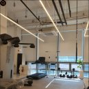 최박사 헬스케어 이미지