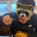 밀양본가 | [명지 국제신도시] 맛집, 나만 알고 싶은 로컬 단골집 '밀양본가' 진심 후기