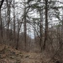 영명사 입구 이미지