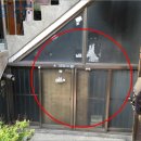 수원시 팔달구 팔달문로32번길 이미지