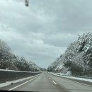 동쪽바다 세꼬시 이미지