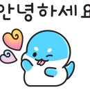 브이아이피광택 이미지